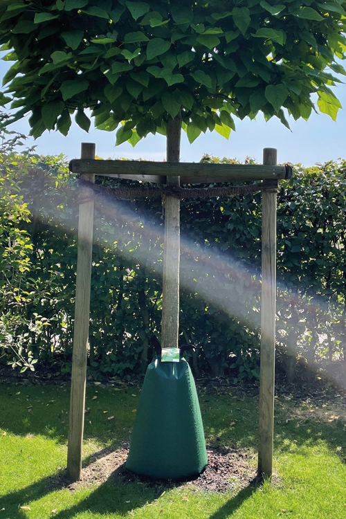 Baumbewässerungssack im Garten